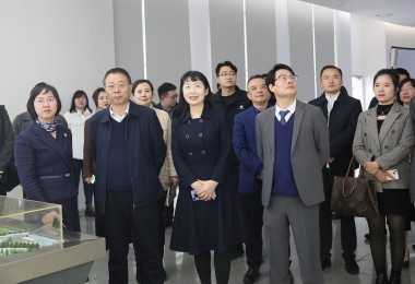 華時捷科技參加湘江新區(qū)“結(jié)伴同行·海外領(lǐng)秀”座談會，共謀國際化發(fā)展新路徑